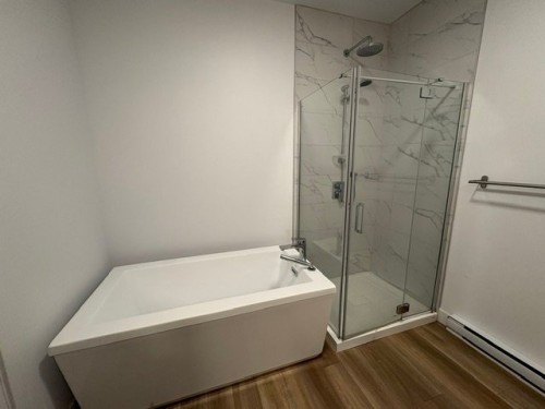Bathroom - 301-130 Place Marc-Favreau, Cowansville, QC - Indoor Photo Showing Bathroom