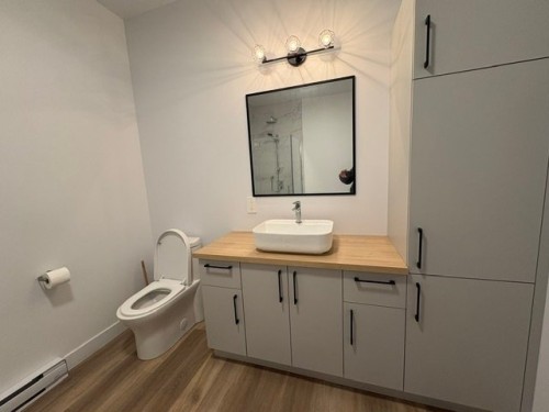 Bathroom - 301-130 Place Marc-Favreau, Cowansville, QC - Indoor Photo Showing Bathroom