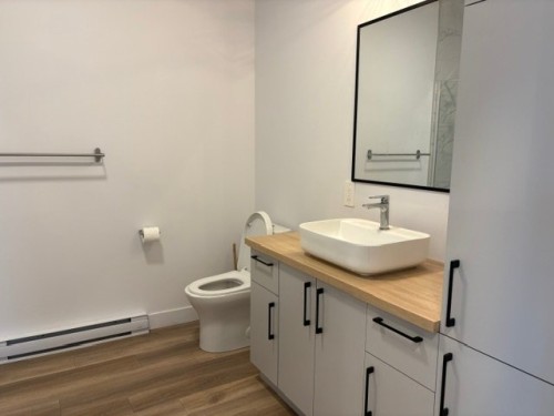 Bathroom - 301-130 Place Marc-Favreau, Cowansville, QC - Indoor Photo Showing Bathroom