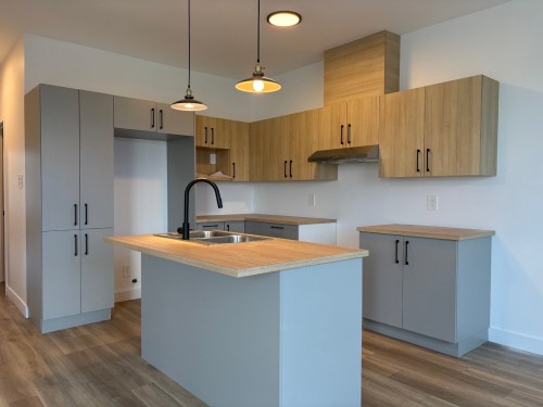 Cuisine - 302-130 Place Marc-Favreau, Cowansville, QC - Indoor Photo Showing Kitchen With Double Sink