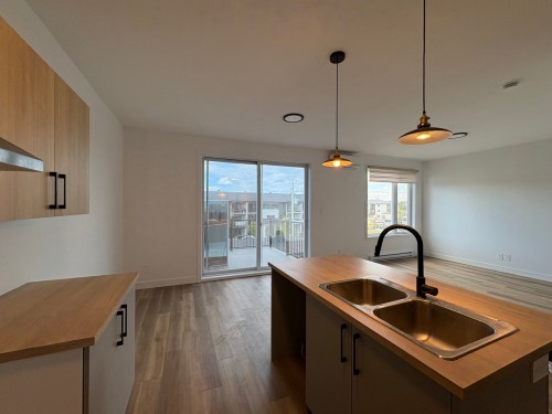 Cuisine - 302-130 Place Marc-Favreau, Cowansville, QC - Indoor Photo Showing Kitchen With Double Sink