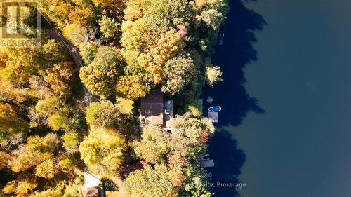 8 Firefly Way, Seguin, ON - Outdoor With View