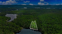 Bord de l'eau - 