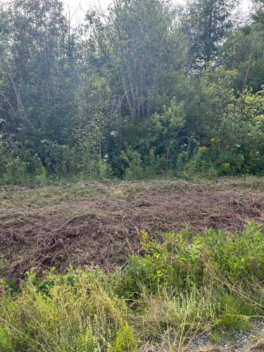 Lot - Route De St-Jogues, Paspébiac, QC 