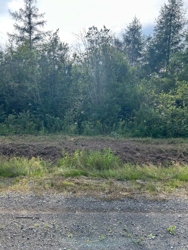 Lot - Route De St-Jogues, Paspébiac, QC 