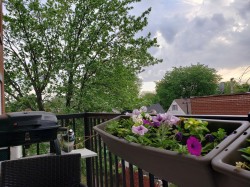 Balcony - 