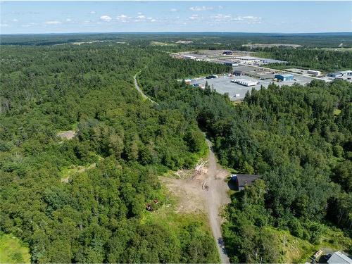 91 Trans Canada Highway, Appleton, NL 
