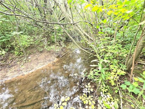 6129 Route 515, Saint-Paul, NB 