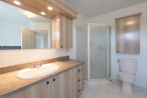Salle de bains - 1380 Rue Paris, Drummondville, QC - Indoor Photo Showing Bathroom