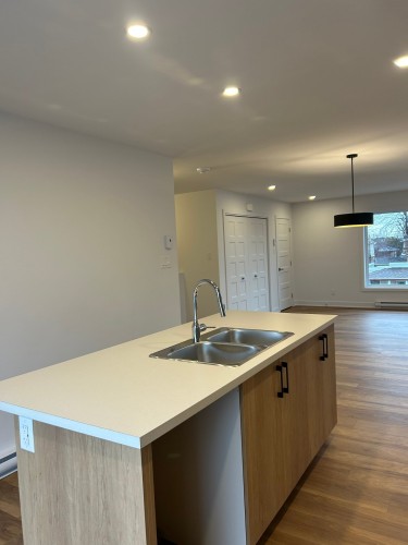 Kitchen - 4-57 Rue Joron, Salaberry-De-Valleyfield, QC - Indoor Photo Showing Kitchen With Double Sink