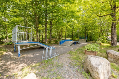 Salle de jeux - 29 Av. Du Soleil, Fossambault-Sur-Le-Lac, QC - Outdoor With Backyard