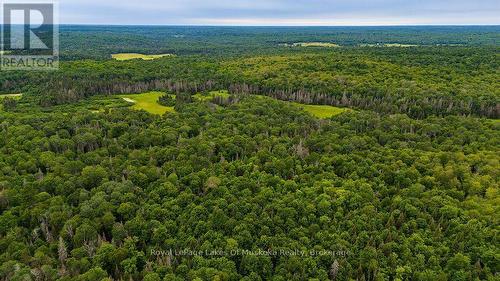 286 Halls Road E, Magnetawan, ON 