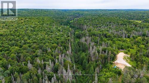 286 Halls Road E, Magnetawan, ON 