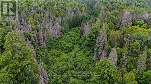 286 Halls Road E, Magnetawan, ON 