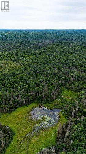 286 Halls Road E, Magnetawan, ON 