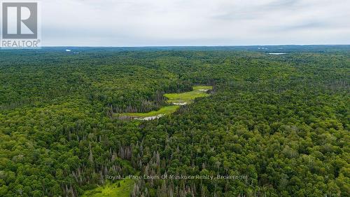 286 Halls Road E, Magnetawan, ON 
