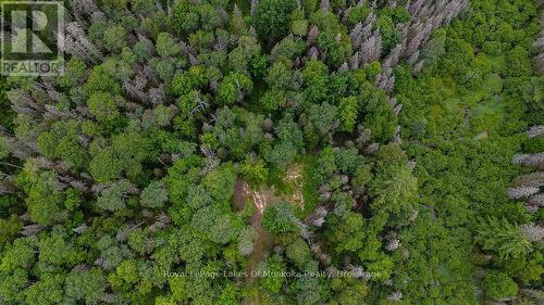 286 Halls Road E, Magnetawan, ON 