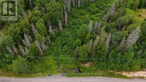 286 Halls Road E, Magnetawan, ON 