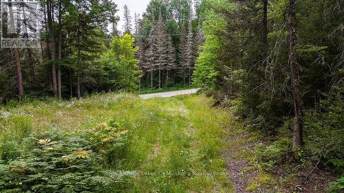 286 Halls Road E, Magnetawan, ON 