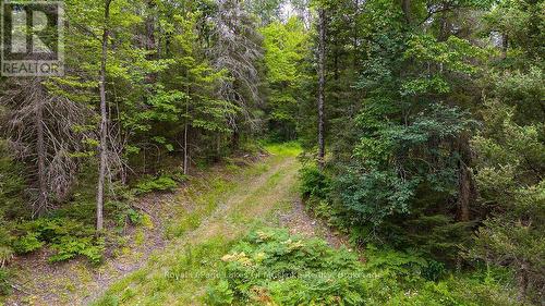 286 Halls Road E, Magnetawan, ON 