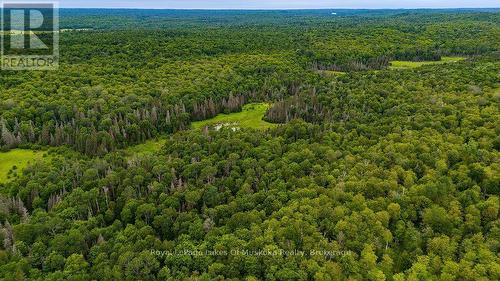 286 Halls Road E, Magnetawan, ON 