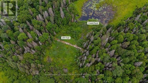Trail system for ATVs, hiking, snowshoeing etc - 286 Halls Road E, Magnetawan, ON 