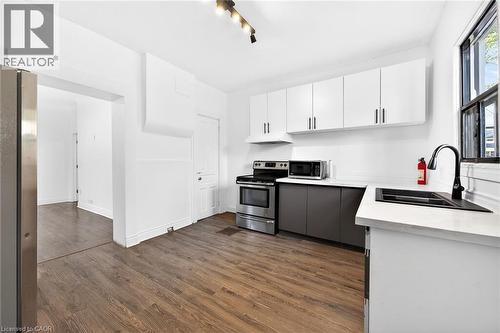 99 Leeming Street, Hamilton, ON - Indoor Photo Showing Kitchen With Double Sink