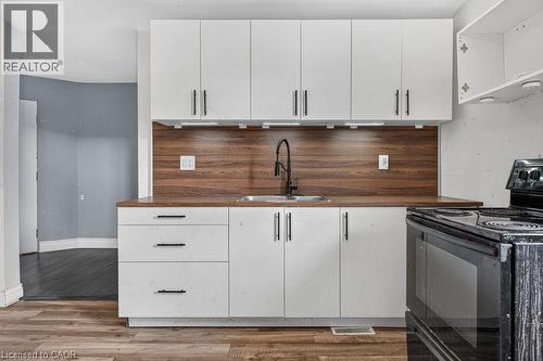 99 Leeming Street, Hamilton, ON - Indoor Photo Showing Kitchen With Double Sink
