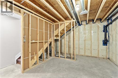 253 Angelo, Lasalle, ON - Indoor Photo Showing Basement
