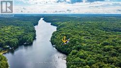 Miles of boating enjoyment! - 