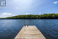 Panoramic lake views - 