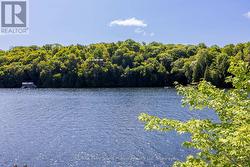 Sunny south exposure! - 