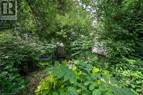 232 Cedar Street, Simcoe, ON - Outdoor