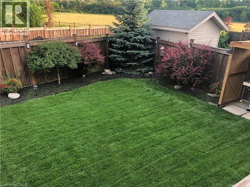 View of fenced backyard - 205 Paige Place, Kitchener, ON 
