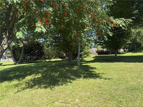 25 Hillcrest Ave, Hartland, NB 