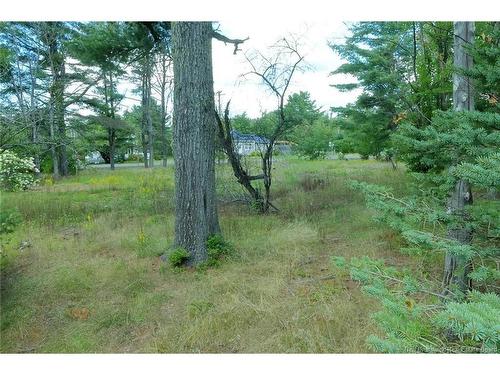 34 Post Rd, Minto, NB 
