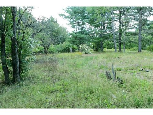 34 Post Rd, Minto, NB 