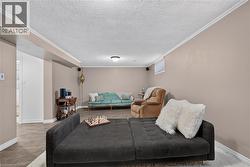 Lower-level family / rec area - 