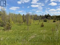 LOT 55, 56 &57 COUNTY RD 25  Trent Hills, ON K0K 3K0