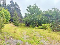 1288 Main Road  Dunville, NL A0B 1S0