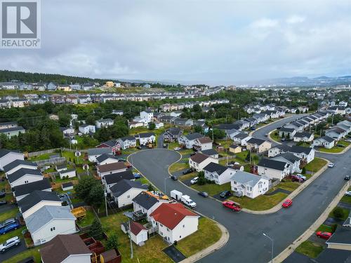 3 Caprea Place, St. John'S, NL 