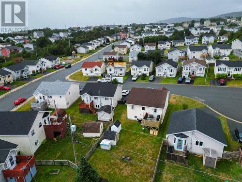 3 Caprea Place, St. John'S, NL 
