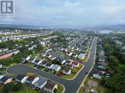 3 Caprea Place, St. John'S, NL 