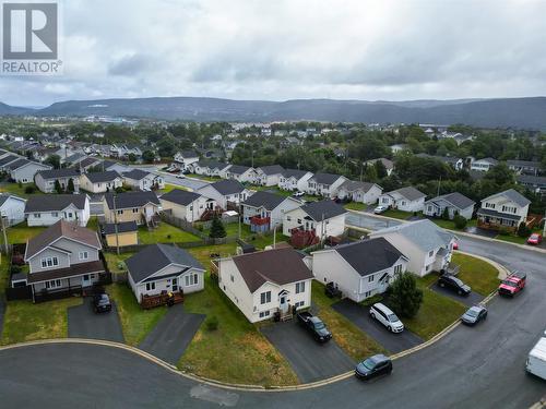 3 Caprea Place, St. John'S, NL 