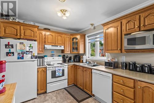 3 Caprea Place, St. John'S, NL 