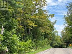 0 TWIN SISTERS LAKE ROAD Marmora And Lake (Marmora Ward), ON K0K 2M0