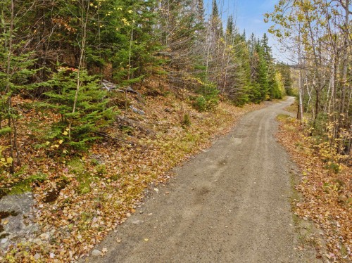 Rue - 2E Rang N.-E., Mandeville, QC 