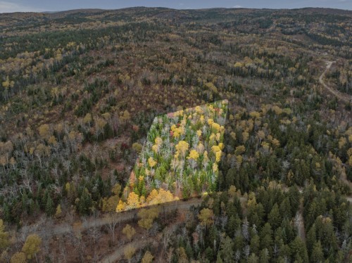Photo aérienne - 2E Rang N.-E., Mandeville, QC 