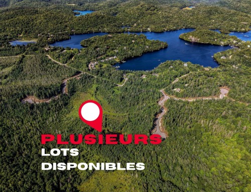 Overall view - 8 Ch. Morgan, Saint-Adolphe-D'Howard, QC 
