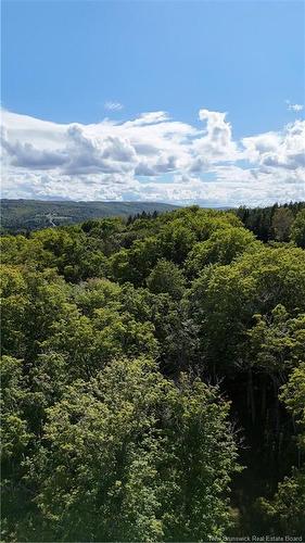 Sugar Camp Hillside, Elgin, NB 
